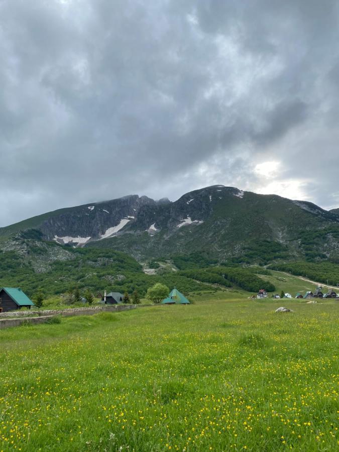 Guesthouse Andreja A Žabljak Eksteriør billede
